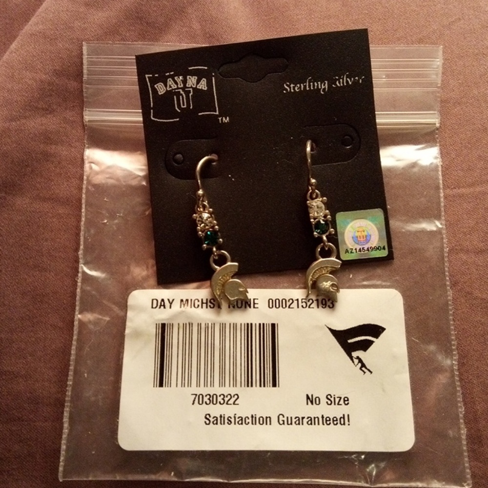 Michigan State Earings